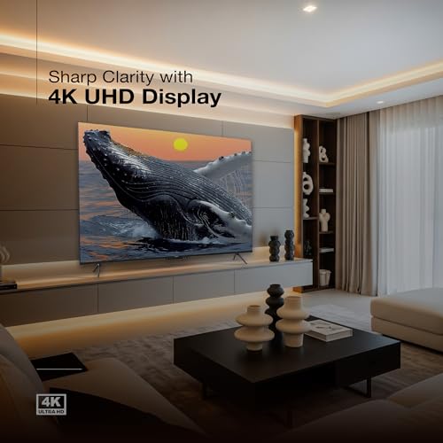 Image of SANSUI 165cm (65) 4K Ultra HD Smart Google TV with Dolby Vision, HDR 10, Dolby Atmos, DTS, Surround Sound, Filmmaker Mode, Far-Field Voice Interaction JSW65GSUHDFF (Black)