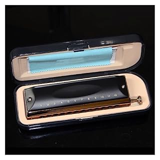 PacuM Harmonica par instrument Key Harmonica chromatique 12 trous 48 tons C Musica Harmonica chromatique Harmonica - Les Beatles, Paul McCartney, John Lennon, RIngo Starr, George Harrison PacuM Harmonica par instrument Key Harmonica chromatique 12 trous 48 tons C Musica Harmonica chromatique Harmonica – Image 3