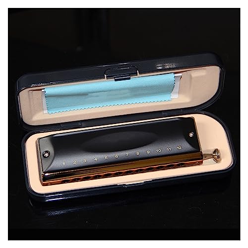 PacuM Harmonica par instrument Key Harmonica chromatique 12 trous 48 tons C Musica Harmonica chromatique Harmonica - Les Beatles, Paul McCartney, John Lennon, RIngo Starr, George Harrison PacuM Harmonica par instrument Key Harmonica chromatique 12 trous 48 tons C Musica Harmonica chromatique Harmonica – Image 4