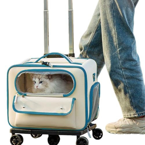 AOUTNybg L[P[X L[obO ybgJ[g ybgL[P[X LX^[t lʋC 萫  ܂肽 ^ELp L[obO }bgt ʉ@ h U sp (s[RbNu[)