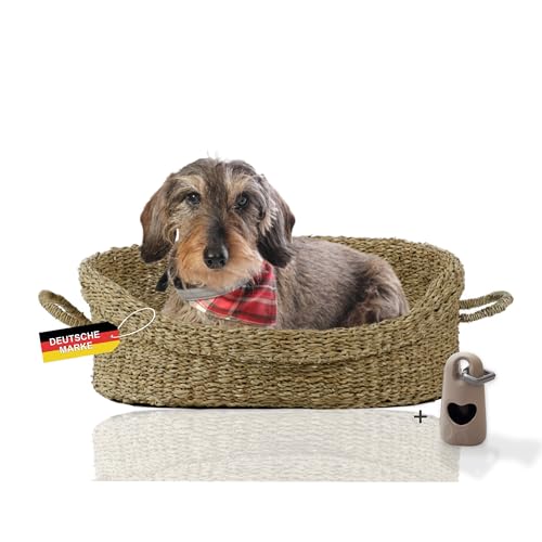 Rohrschneider Hundebett mit Henkel für kleine und mittelgroße Hunde | von Hand geflochtener Hundekorb aus Seegras mit verstärktem hohen Rand | Hundekissen mit waschbarem Bezug | Gr. 1 (51 x 43 cm)