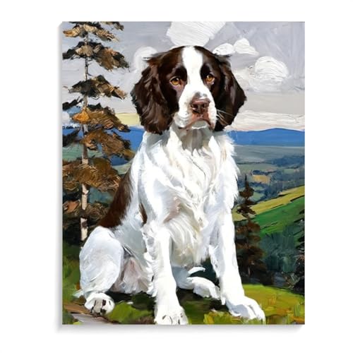 DIY Paint by Number for Adults Beginner Springer Spaniel Dog Paint by Number on Canvas DIY Oil Painting for Gift Home Wall Decor 12x16inch(30x40cm) Frameless