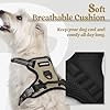 rabbitgoo Dog Harness No Pull with 2 Leash Clips, Adjustable Soft Padded, Reflective Oxford No Choke Pet Vest with Easy Control Handle for Puppy, Beige, XS #1