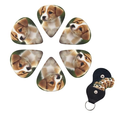 M^[sbN 6pbN p[\iCYꂽM^[sbN 킢q  vg M^[sbNz_[ AR[XeBbNM^[ oCI EN x[Xp