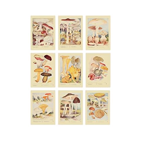Ink Inc. Vintage Mushroom Prints | Wild Mushroom Wall Art Cottagecore Boho Farmhouse Design | Set of 9 5x7 inches Unframed Cover