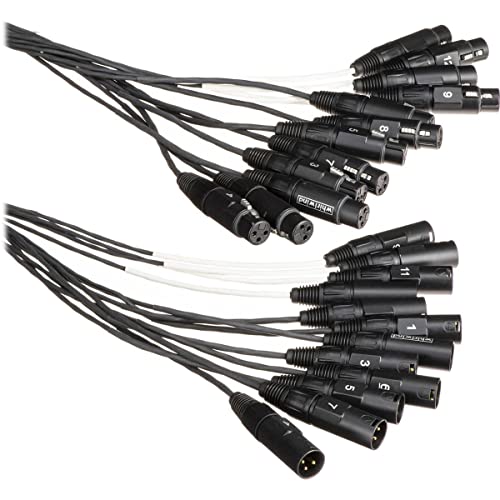 Whirlwind Medusa Multitrack 10' 8 Ch 3-Pin XLR Male To Female Fanout Snake Cable