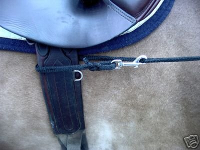 pfote-und-huf Dreieckszügel Wiener Zügel Laufferzügel Pony