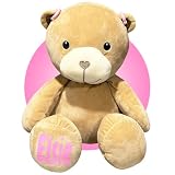 Teddy Bear With Hearing Aids - Personalized Hearing Impaired 14' Stuffed Animal - Inclusive Gifts for Kids - Toy Hearing Device for Plushies - Pink, Purple, or Blue - Toys With Hearing Disabilities
