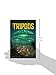 When the Tripods Came