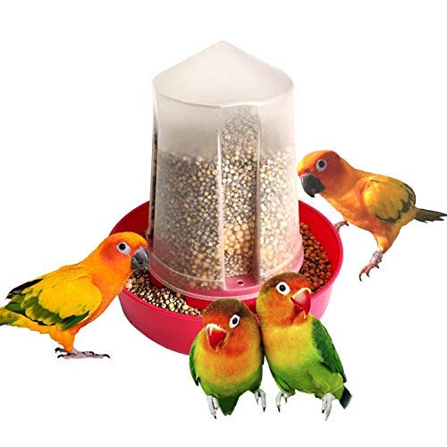 Easy Feed Bird Feeder for 5 to 6 Birds, 500 gm Capacity Set of 2