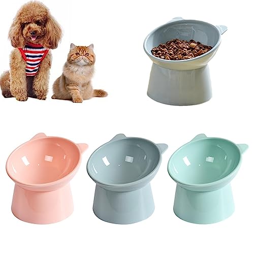 Kit Comedouro Bebedouro Elevado Tigela Gatinho Acrílico Alto Gatos E Cães Postura Correta (Verde e R