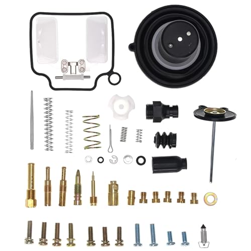 Kit réparation carburateur Rebel 250 : fini les fuites et pannes de moteur