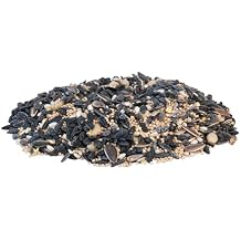 BestNest Wild Bird Seed Mix, Divine Blend, 5 lbs.