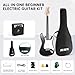 Electric Guitar, 39 Inch Solid Full-size Electric Guitar S-S-S Pickups Starter Kit Includes Amplifier, Bag, Digital Tuner, Strap, String, Cable, Picks，Mini AMP（Green (Black)