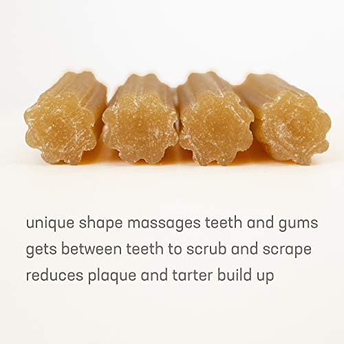 Yaky Churro Himalaya Cheese Treats | Lactose Free | Gluten Free | Grain Free | Usa Made | For All Breeds | 4 Churros Per Pouch | Original Cheese Flavor #TOP3