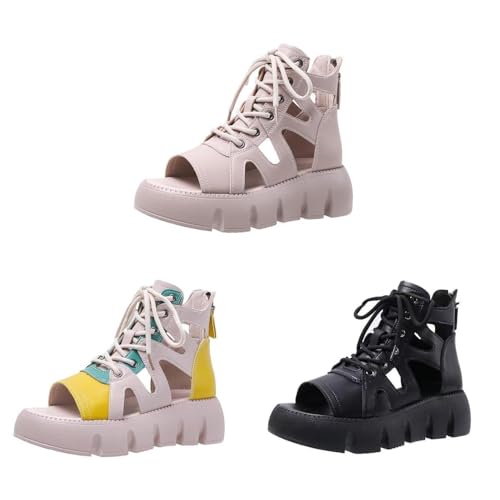 [Bebemax] T_  fB[X C fB[X vC X|[cT_  y JWAT_ T_ _炩 ₷ IV p r