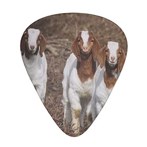 Smiling Goats Lot de 12 médiators pour guitare basse électrique acoustique - Les Beatles, Paul McCartney, John Lennon, RIngo Starr, George Harrison Smiling Goats Lot de 12 médiators pour guitare basse électrique acoustique