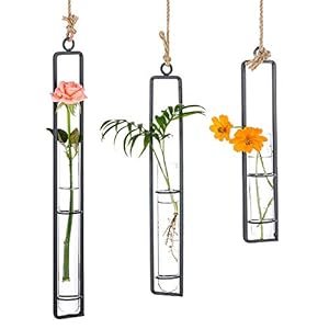 Sziqiqi Creative Wrought Iron Glass Vase Hanging Container Water Culture Hanging Bottle Test Tube for Flowers Hanging Plant Decoration in Living Room Garden