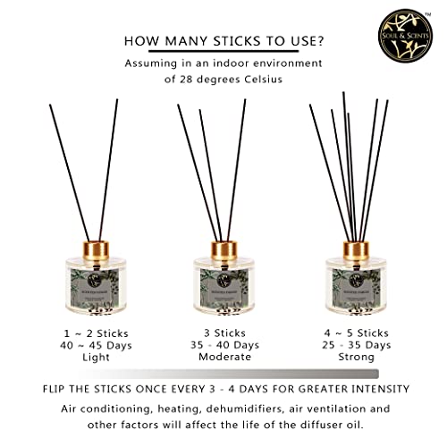 Image of Soul & Scents 50ml Scented Fables Reed Diffuser Set | Fragrance of Oud, Patchouli & Amber | Get 5 Rattan Reed Sticks | Smoke Less Room Freshener for Home, Bedroom, Living Room & Office