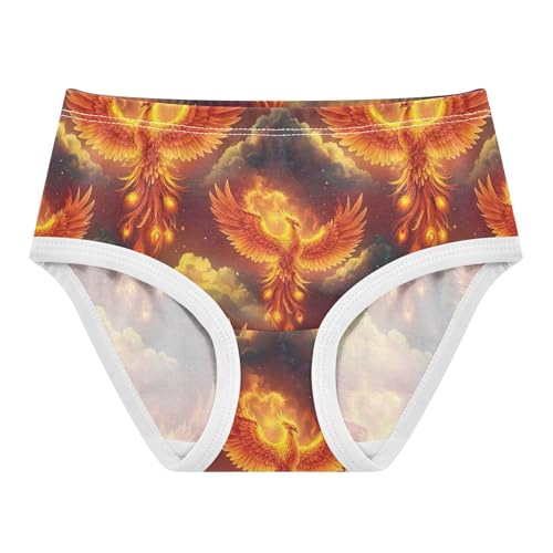 Girls Underwear Toddlers 2t Cotton Panties Little Girl Print Kids Briefs Undies Cool Fire Phoenix Bird Print