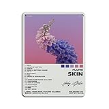 Flume Poster Skin Album Cover Poster Retro Poster Metall Blechschild Chic Art Retro Eisen Malerei Bar Menschen Höhle Cafe Familie Garage Poster Wanddekoration 30 x 40 cm