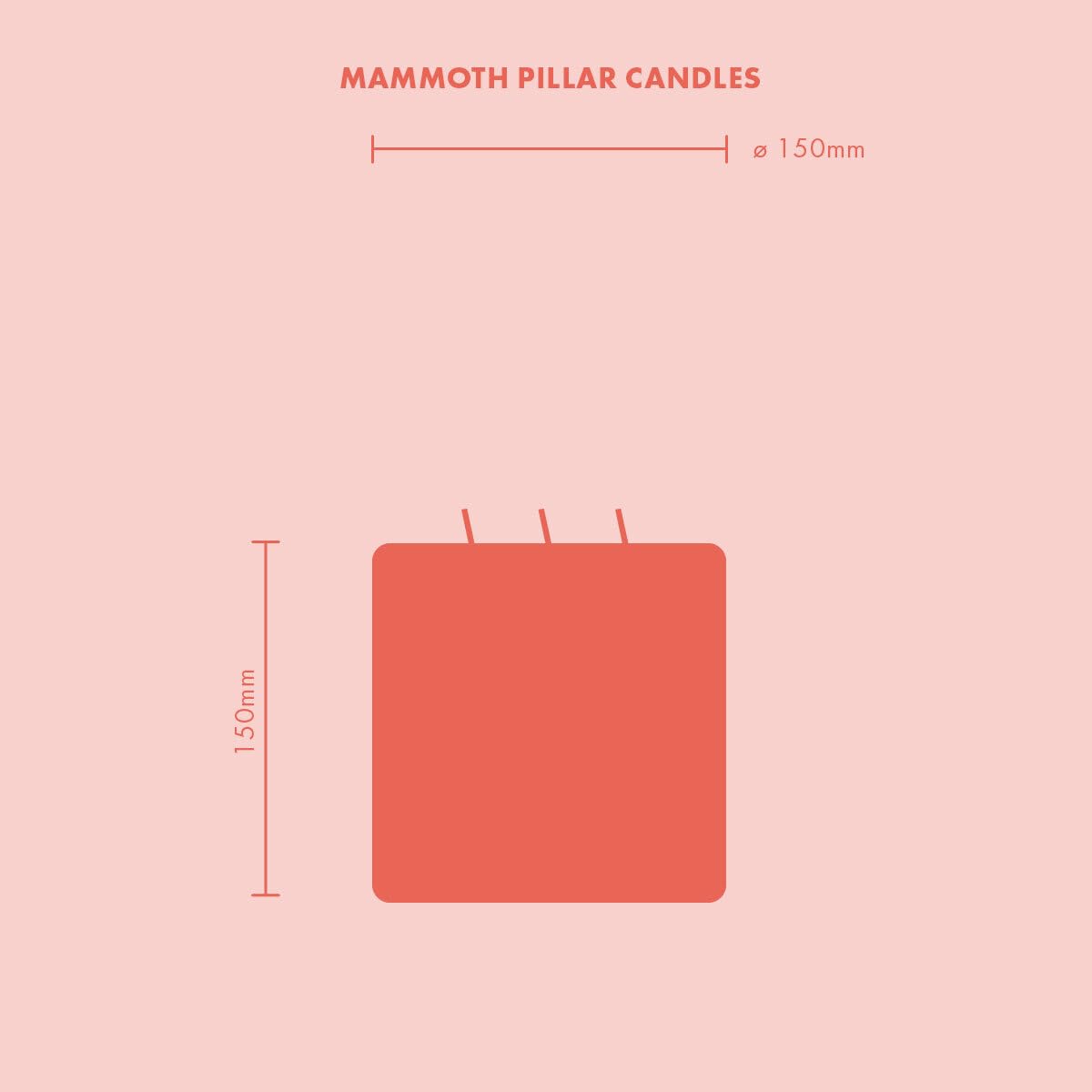 Bolsius Candela a Colonna XXL – Avorio – Multi-stoppino – Lunga Durata di combustione di 75 Ore – Extra Grande – Senza Profumo – Cera di paraffina – 15 x 15 cm