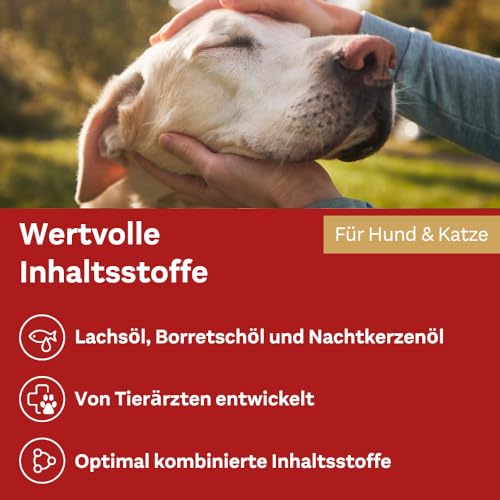 Doppelherz Haut und Fell Öl für Katzen und Hunde – Mit essentiellen Omega- 3 und Omega-6 Fettsäuren – 250ml