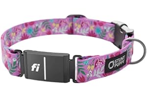 Fi Compatible Dog Collar: Unleash Limitless Adventures with Frolic Summer