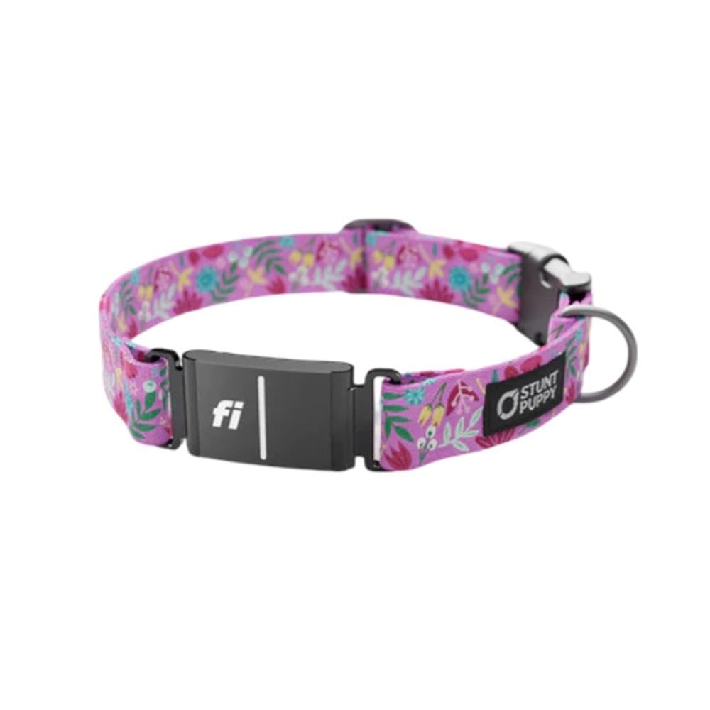 Stunt Puppy Dog Collar, Fi Series 3 and 3+ Ready, Frolic Summer, Small - Compatible with Fi GPS Device (Not Included)