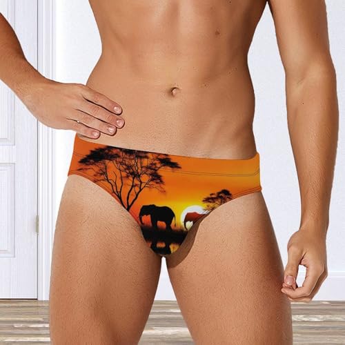 African Elephants in Sunset Novelty Men's Brief Swimwear Pants Swimming Trunks Beach Shorts Underwear4