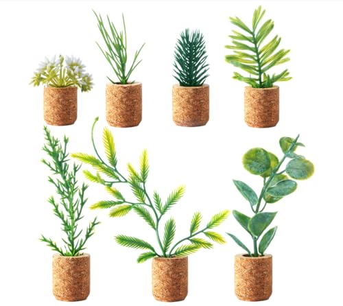 Imanes decorativos de plantas suculentas para refrigerador