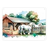 weiße Pferde auf der Koppel Metallschild XXL in 28x38 cm Stall-Atmosphäre Reitsport-Charme für Boxen im Pferdestall