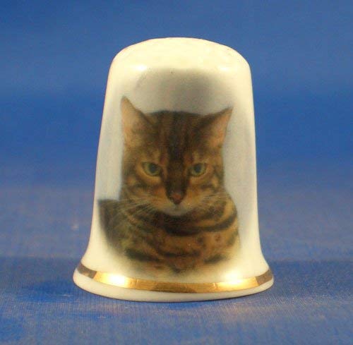 Birchcroft En porcelaine anglaise de collection avec dé Bengale chat
