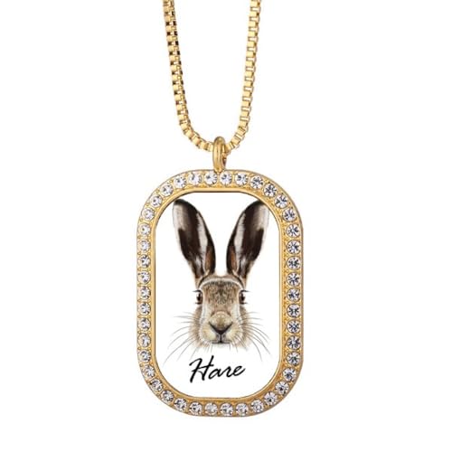 DF̑傫@̖쐶̃ETM̓ S[hlbNX_ChNX^y_g