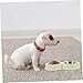 SEWOART Medium Size Pet Bowls for Dogs Cats Robust Stainless Steel Non-Slip Base Cat Food and Water Bowl