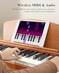 Eastar EP-80 Piano Keyboard 88 Keys, Full Size Electric Keyboard Piano with Velocity-Sensitive Key, Portable Beginner Digital Piano Bundle Piano Stand, Sustain Pedal, Music Stand and Headphones, Brown