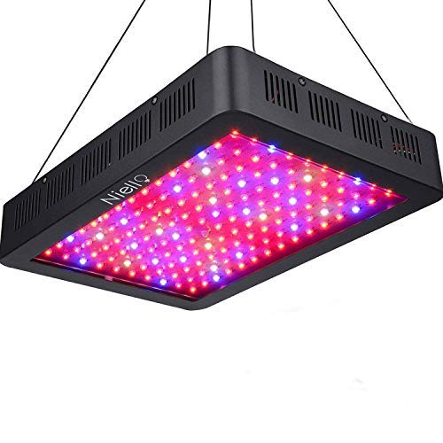 Niello GLB1500