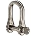 D Shackle, Screw Pin, 2975 lb.