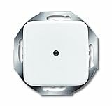 Busch-Jaeger die Zukunft ist da