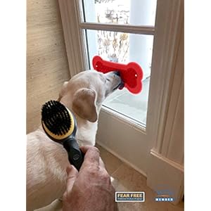 Lick-Lick-Pad-Dog-Accessories-Pet-Shower-Attachment-Dog-Peanut-Butter-Lick-Pad-Dog-Bathing-Station-Dog-Bathing-Supplies-Veterinarian-Used-Suction-to-Wall-Large - Cucciolini Doodles   Lick-Lick-Pad-Dog-Accessories-Pet-Shower-Attachment-Dog-Peanut-Butter-Lick-Pad-Dog-Bathing-Station-Dog-Bathing-Supplies-Veterinarian-Used-Suction-to-Wall-Large