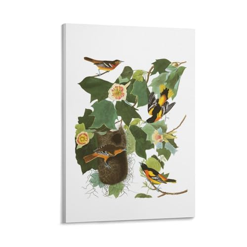John James Audubon Art Poster Baltimore Oriole Painting Vintage Canvas Poster Canvas Wall Art Prints Poster Gifts Photo Picture Painting Posters Room Decor Home Decorative 08x12inch(20x30cm)