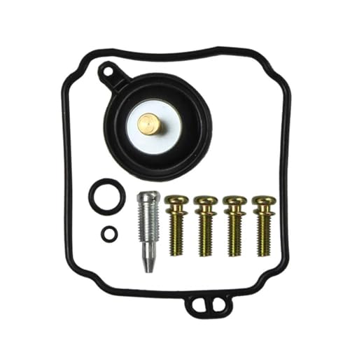 Kit reparación carburador XVS400 para solucionar tirones de moto 2