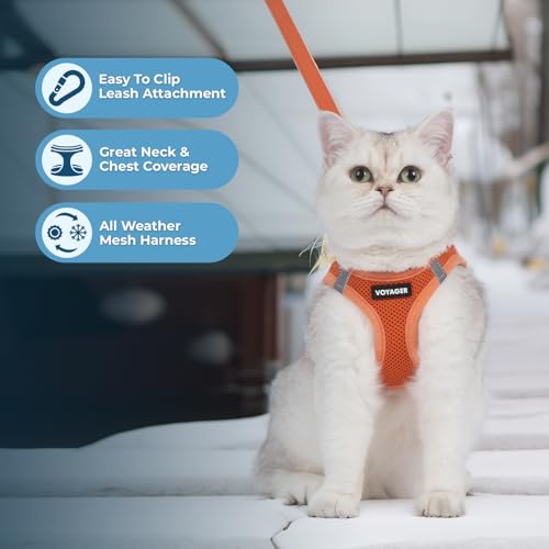 Image of Voyager Step-in Pet Harness - All Weather Mesh, Adjustable Step in Harness for Cats and Dogs by Best Pet Supplies - 307S Orange, XXXS