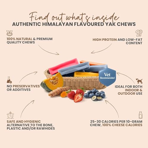 KATHMANDU Natural Flavored Yak Chews for Dogs - Large Pack of 4