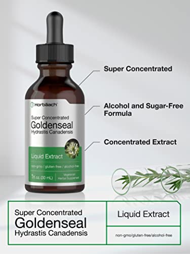 Goldenseal Root Extract | 1 Fl Oz | Super Concentrated | Alcohol Free Liquid Tincture | Vegetarian, Non-Gmo, Gluten Free | By Horbaach #TOP2