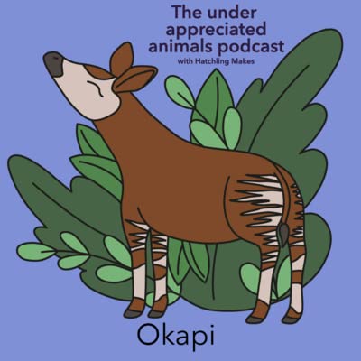 004 - Okapi