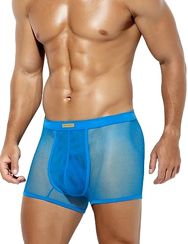 Casey Kevin Mens Sexy Boxer Briefs for Men Breathable Sexy Mesh See Through Underwear Bulge Pouch Trunk