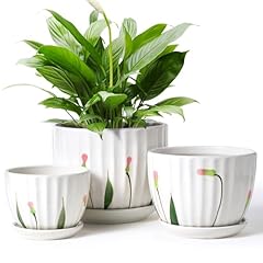 4 White Floral-big Size