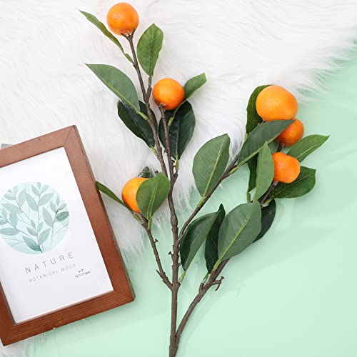 The 10 FQQWEE Home & Kitchen Products for Sale (Mar. 2024) Cherry Picks