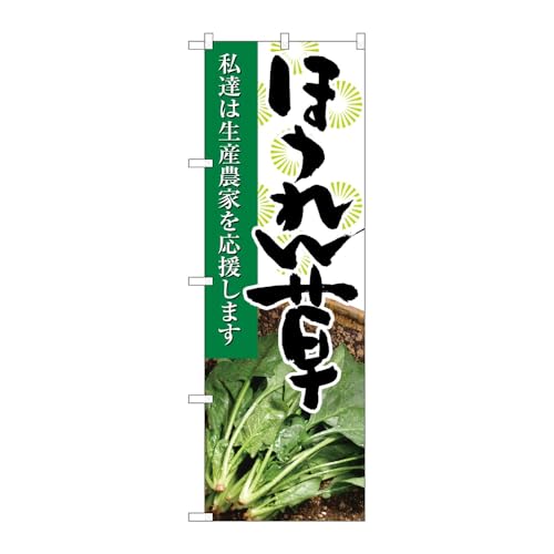 ̂ڂ艮H[ ̂ڂ 122116 ق񑐎ʐ^ W600×H1800mm 1 OO ̑ ɐ 󒍐Yi